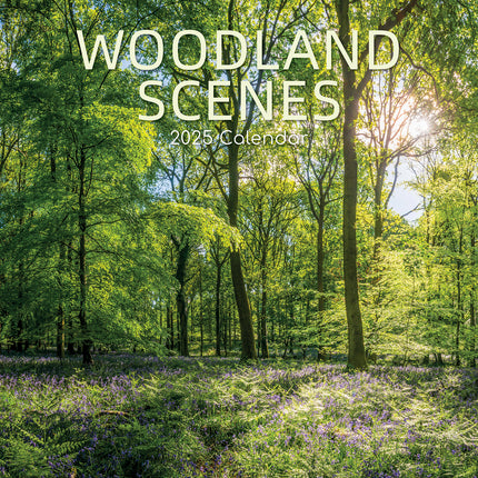 Woodland Scenes 2025 Square Wall Calendar 16 Months New Year Xmas Planner Gift.