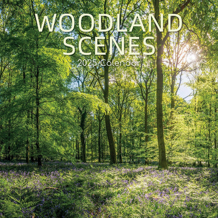 Woodland Scenes 2025 Square Wall Calendar 16 Months New Year Xmas Planner Gift.