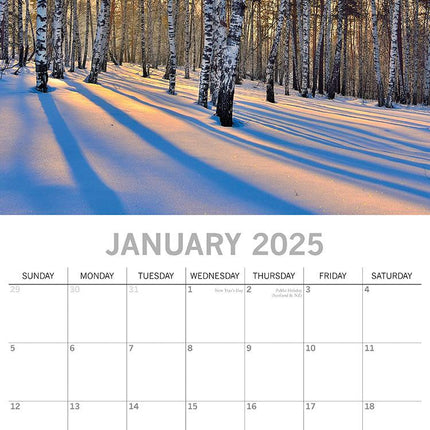 Woodland Scenes 2025 Square Wall Calendar 16 Months New Year Xmas Planner Gift.
