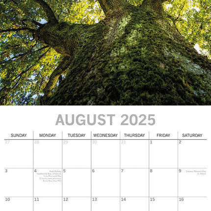 Woodland Scenes 2025 Square Wall Calendar 16 Months New Year Xmas Planner Gift.