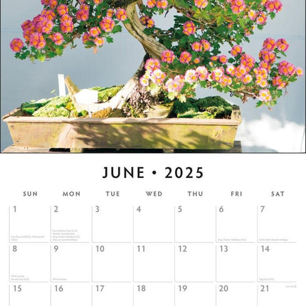 Bonsai - 2025 Square Wall Calendar Floral16 Month Premium Planner New Year Gift.