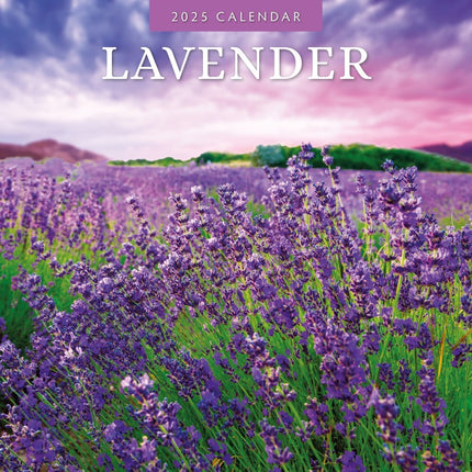Lavender - 2025 Square Wall Calendar Floral 16 Months Premium New Year Planner.