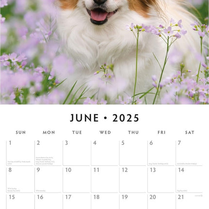 Papillions - 2025 Square Wall Calendar Animals 16 Months Premium Planner Gift.