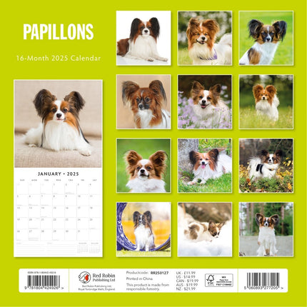 Papillions - 2025 Square Wall Calendar Animals 16 Months Premium Planner Gift.