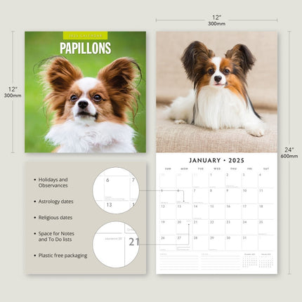 Papillions - 2025 Square Wall Calendar Animals 16 Months Premium Planner Gift.