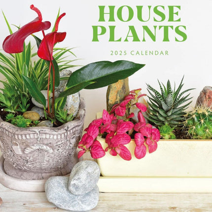 House Plants - 2025 Square Wall Calendar Floral16 Months Premium Planner Gift.