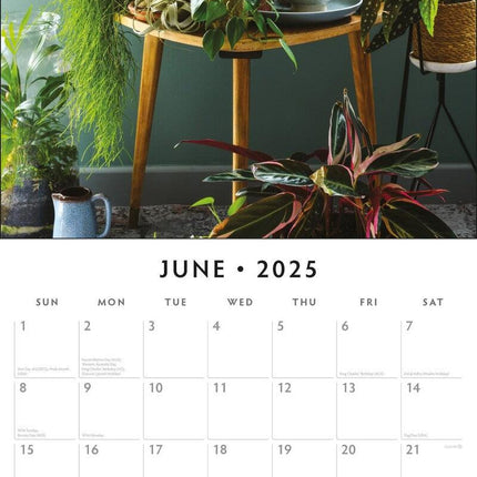 House Plants - 2025 Square Wall Calendar Floral16 Months Premium Planner Gift.