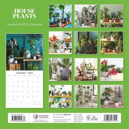 House Plants - 2025 Square Wall Calendar Floral16 Months Premium Planner Gift.