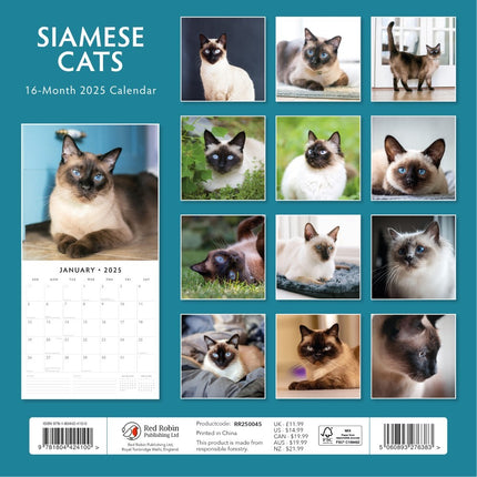 Siamese Cats - 2025 Square Wall Calendar Animals 16 Months Premium Planner Gift.