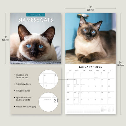 Siamese Cats - 2025 Square Wall Calendar Animals 16 Months Premium Planner Gift.
