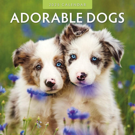 Adorable Dogs - 2025 Square Wall Calendar Animals 16 Months Premium Planner Gift.