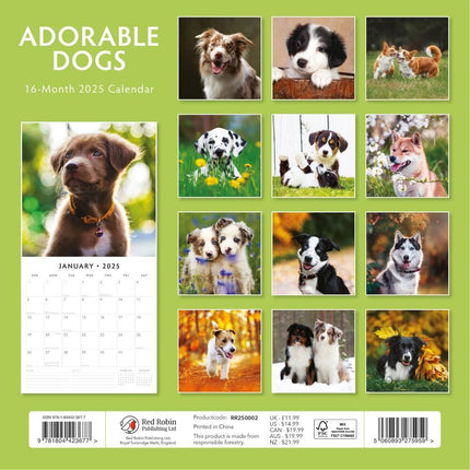 Adorable Dogs - 2025 Square Wall Calendar Animals 16 Months Premium Planner Gift.