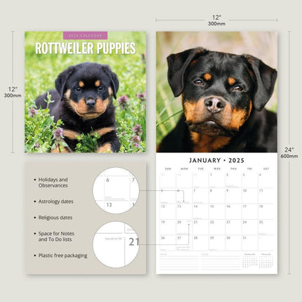 Rottweiler Puppies - 2025 Square Wall Calendar Animals 16 Months Premium Planner.