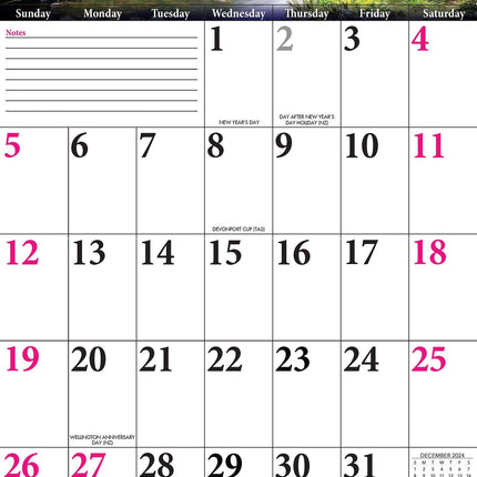 Big Grid - 2025 Rectangle Wall Calendar 13 Months Large Date Boxes Easy Planning.