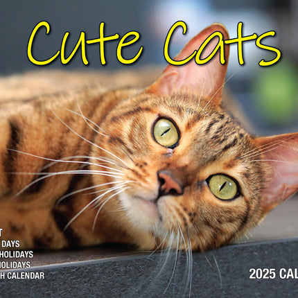 Cute Cats - 2025 Rectangle Wall Calendar 16 Months Planner Animal Pets Photos.