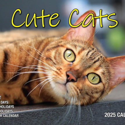 Cute Cats - 2025 Rectangle Wall Calendar 16 Months Planner Animal Pets Photos.