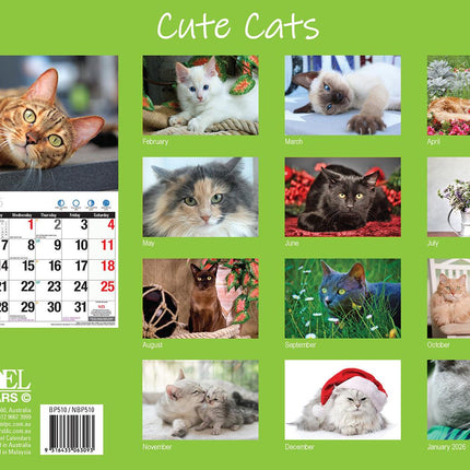 Cute Cats - 2025 Rectangle Wall Calendar 16 Months Planner Animal Pets Photos.