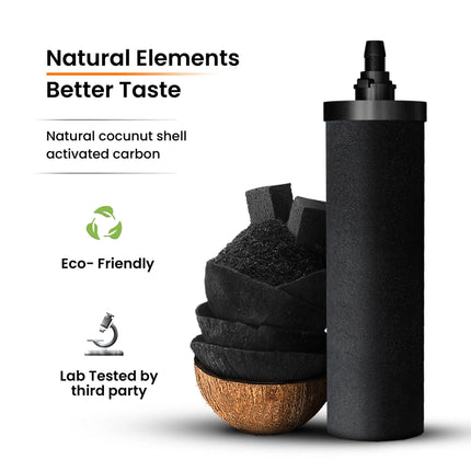 Phoenix Smart Carbon Cartridges.