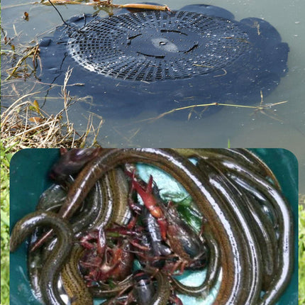 10Hole Eel Fishing Trap Cage Loach Fish Shrimp Net Folding Portable Catch Basket.