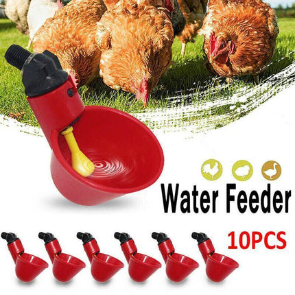 10 Pcs Automatic Poultry Waterer Cups for Chickens & Birds.