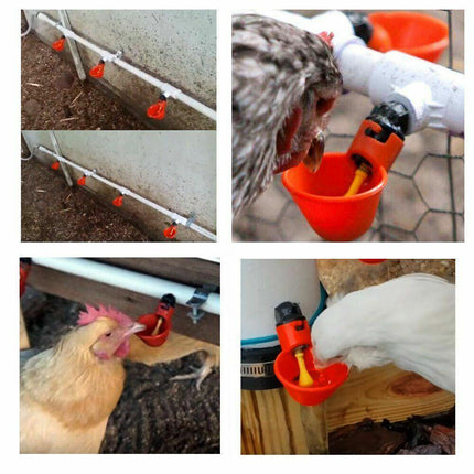 10 Pcs Automatic Poultry Waterer Cups for Chickens & Birds.