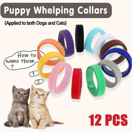 12 Colour Soft ID Collars for Puppies and Kittens Adjustable Pet Identifier Bands.