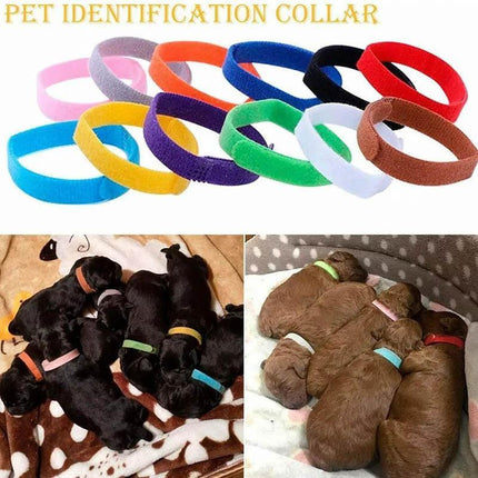 12 Colour Soft ID Collars for Puppies and Kittens Adjustable Pet Identifier Bands.