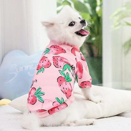 Pet Care Cartoz.
