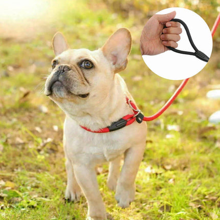 Dog Training Correction Leash Lead Cesar Puppy Pets Millan Slip Nylon Rope 10*140mm - Blue.