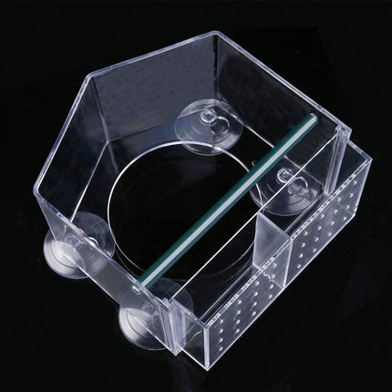 Clear Acrylic Window Bird Feeder with Strong Suction Cups and Removable Seed Tray.