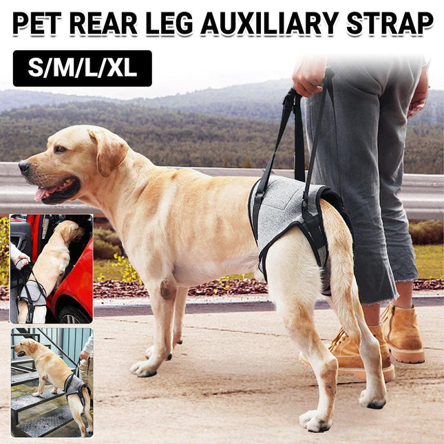 Pet Care.