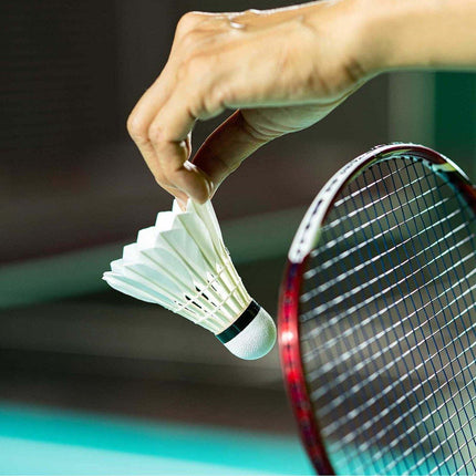 12 Pcs Badminton Shuttlecocks Durable Gooes Feather Badminton Ball For Training.