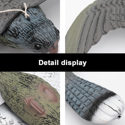 Garden Eagle Rodent and Bird Scaring Simulation Eagle Outdoor Decoration Yard.