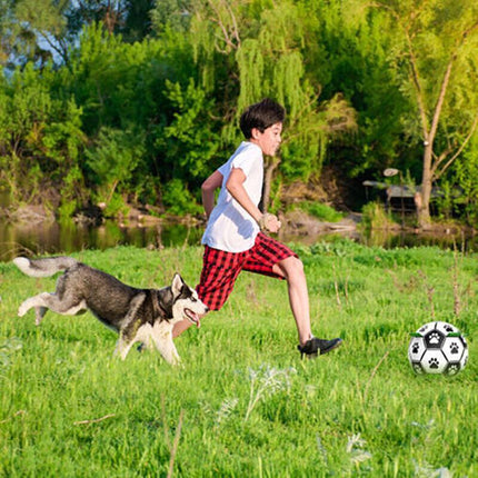 Interactive Pet Football Dog Toys Grab Tabs Outdoor Training Soccer Chew Balls.
