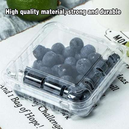 100pcs Transparent Plastic Fruit Box with Tape Cover Storage Packaging for Fruit - 125g.