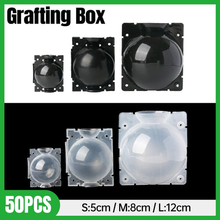 50pcs Plant Rooting Device High Pressure Grafting Box for Seedling Branch Garden - Clear S-50PCS.