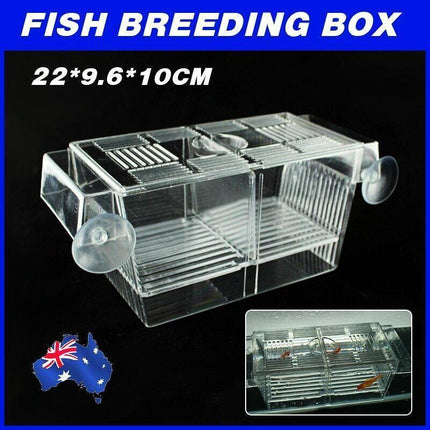 Large Breeding Aquarium Fish Tank Guppy Hatchery Breeder Rearing Isolation Box.
