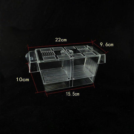 Large Breeding Aquarium Fish Tank Guppy Hatchery Breeder Rearing Isolation Box.