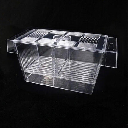 Large Breeding Aquarium Fish Tank Guppy Hatchery Breeder Rearing Isolation Box.