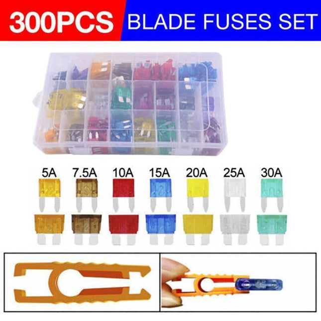 300Pcs Car Blade Fuses Assortment Assorted Kit Blade Set Auto Truck Automotive.