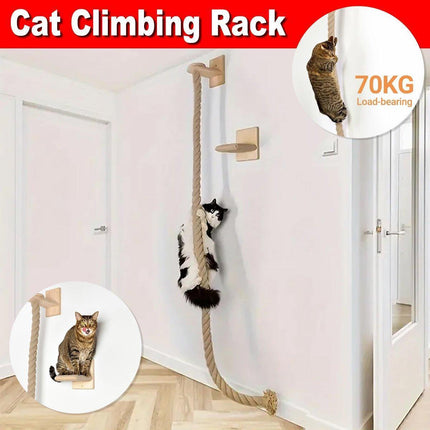 Pet Care.