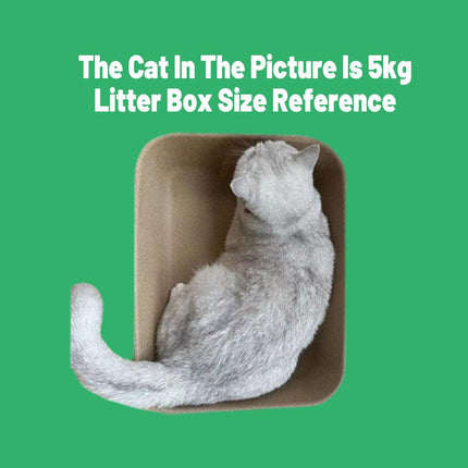 10pcs Disposable Litter Box Pulp Degradable Pet Tray Travel Portable Eco Use.