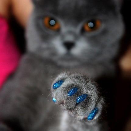100PCS Anti Scratch Paw Covers for Cats and Kittens Nail Protector Soft Paw - Flat-S.