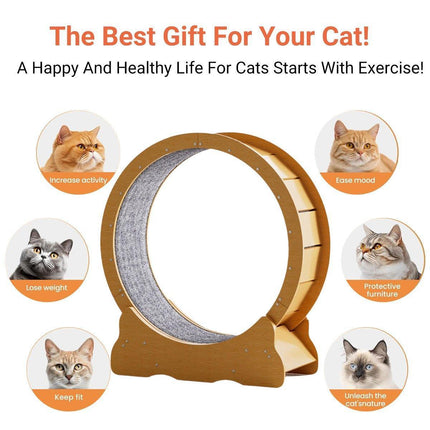 Pet Care Cartoz.