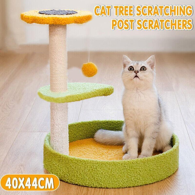 Pet Care.