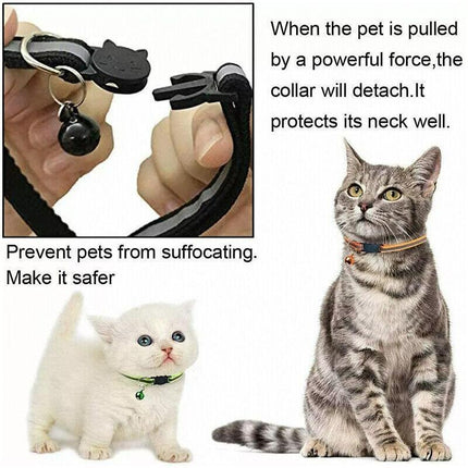 Pet Care.