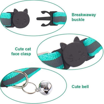 Pet Care.