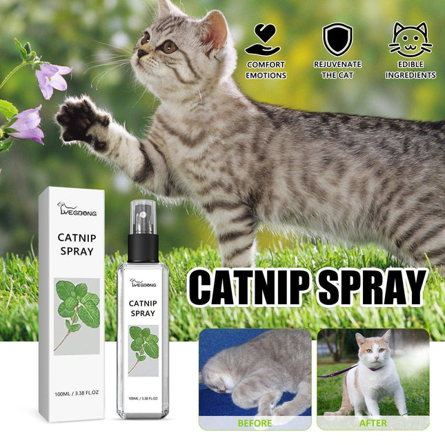 Pet Care.
