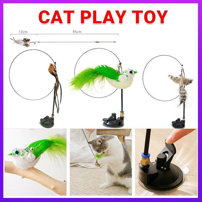 Pet Care.