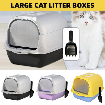 Pet Care Cartoz.